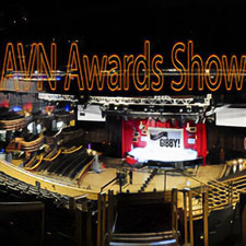 AVN Awards Show