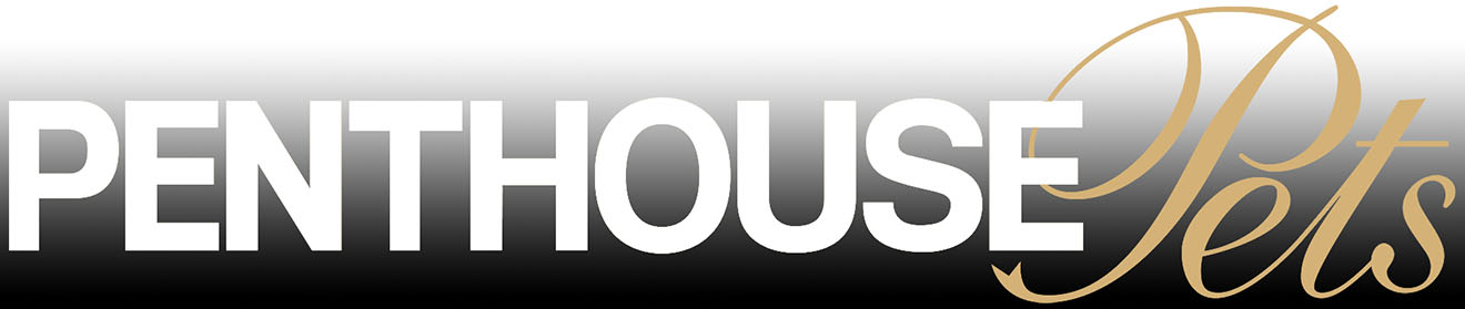PenthousePets Banner